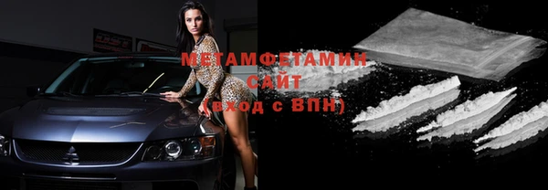 индика Елизово