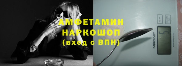 индика Елизово