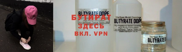 индика Елизово