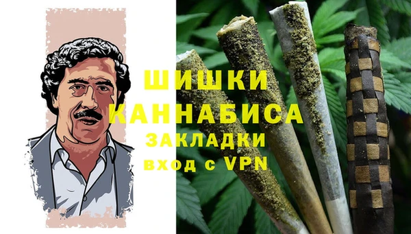 индика Елизово