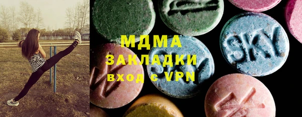 индика Елизово