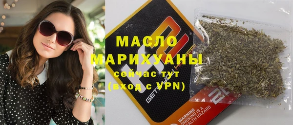индика Елизово