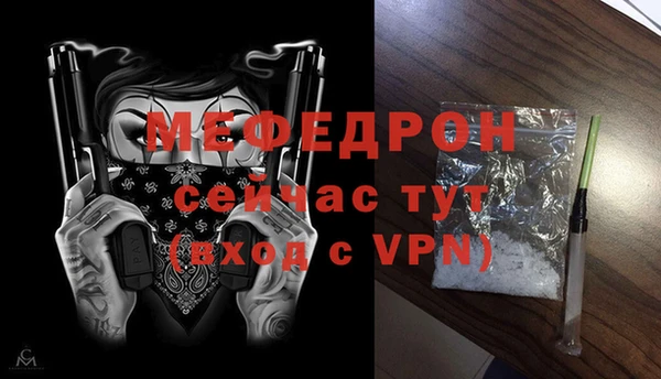 индика Елизово
