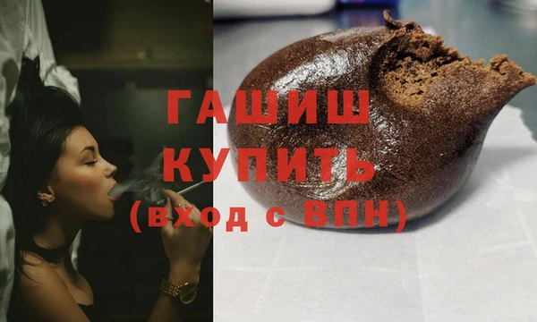 индика Елизово