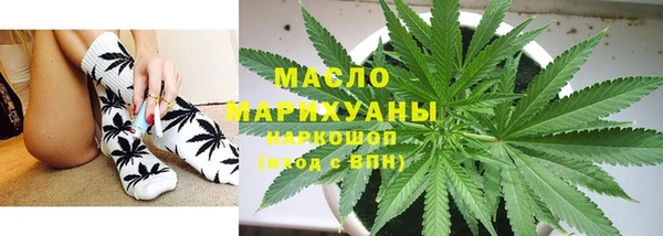 индика Елизово