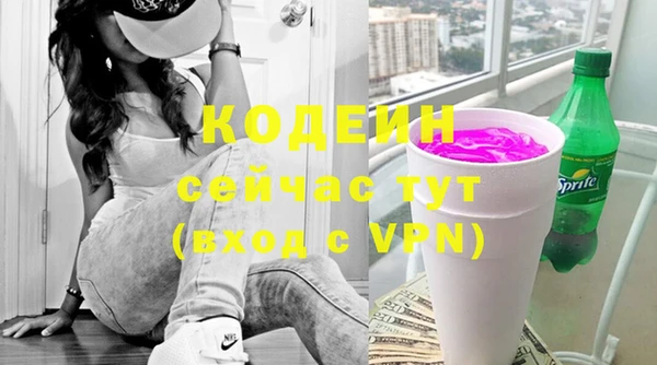 индика Елизово