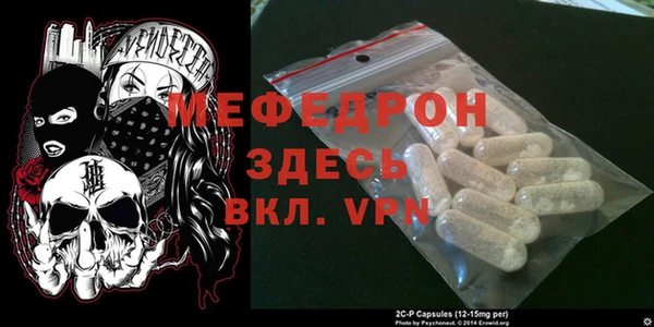 индика Елизово