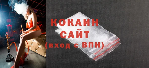 индика Елизово